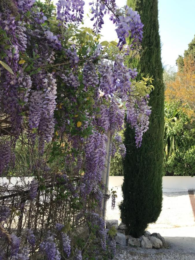 Bastide Nomade - Guest House แซงต์-ปอล-เดอ-วองส์ ภายนอก รูปภาพ